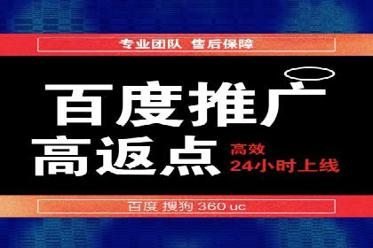 某某sem推广公司实战案例：精准投放提升转化率